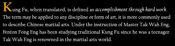 Kung Fu definition