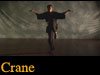 Crane Kung Fu Video