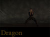 Dragon Kung Fu Video