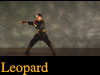 Leopard Kung Fu Video