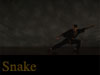 Snake Kung Fu Video