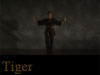 Tiger Kung Fu Video
